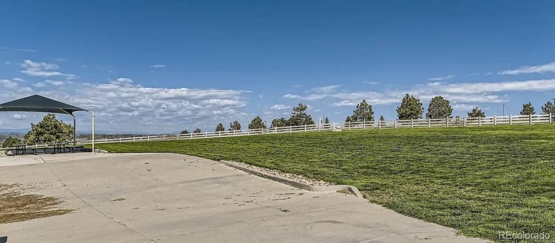 10815 Jagged St, Parker, CO 80134