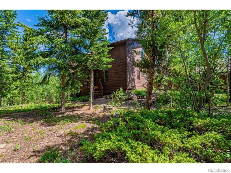 518 Meadow Mountain Dr, Allenspark, CO 80510