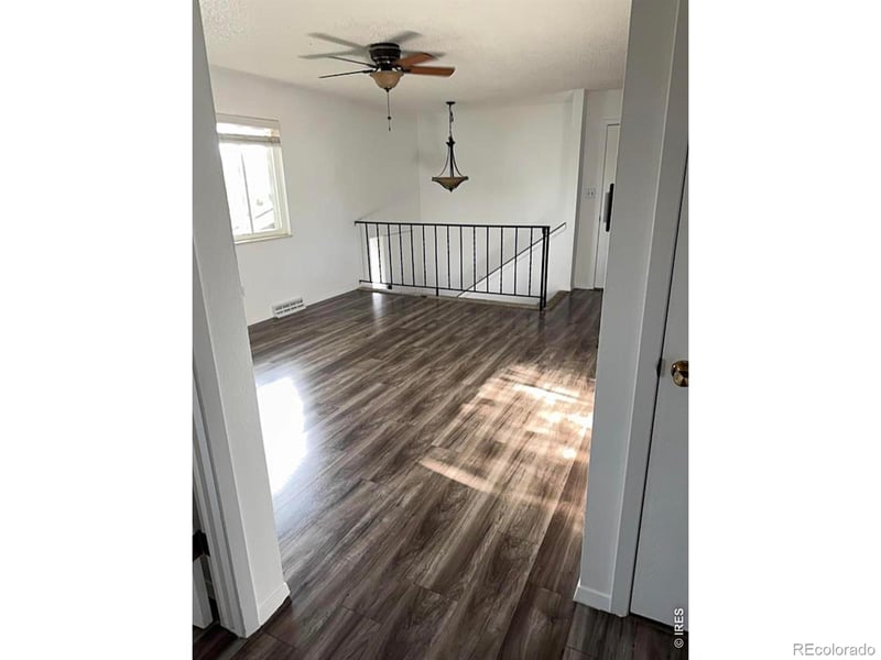905 Woodbine Dr, Windsor, CO 80550