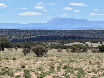 169 Tyrone Hills, Walsenburg, CO 81089
