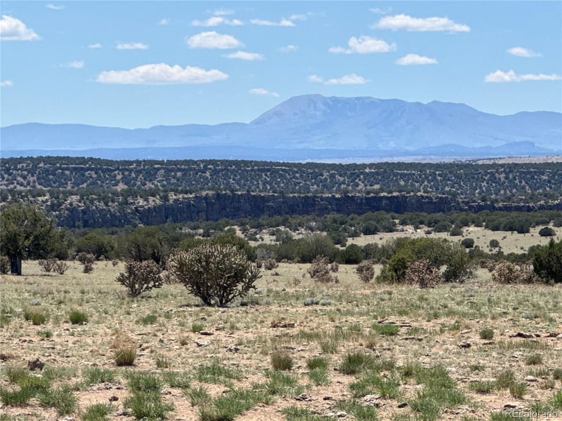 169 Tyrone Hills, Walsenburg, CO 81089