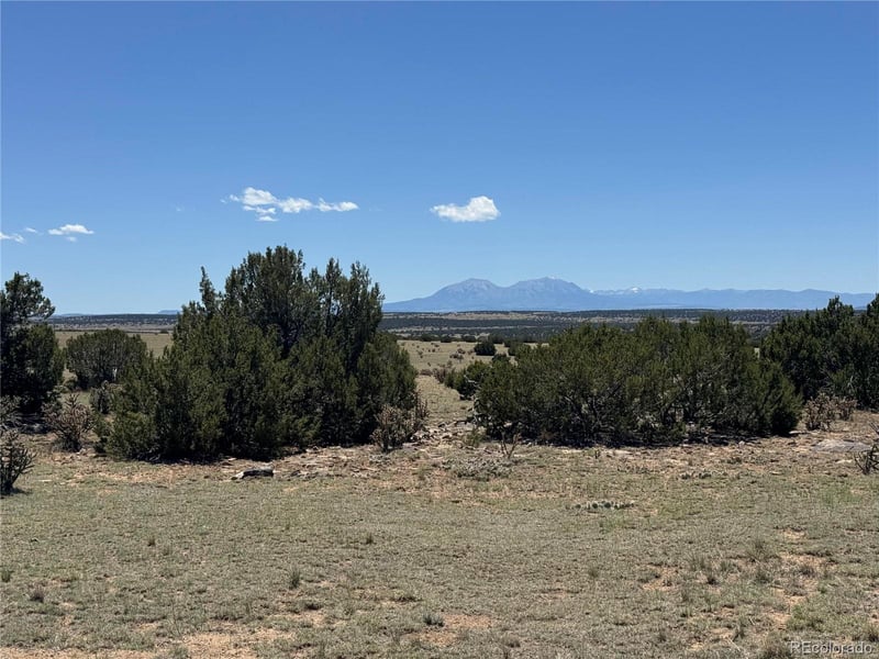 169 Tyrone Hills, Walsenburg, CO 81089