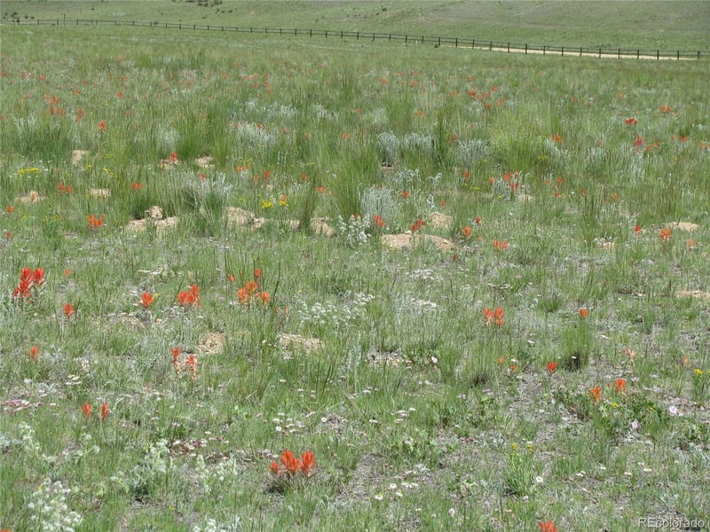 412 Smith And Wesson Rd Lot 206, 207, 208, 209, Como, CO 80456