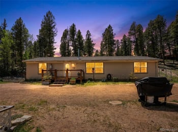 44 Silver Trl, Florissant, CO 80816