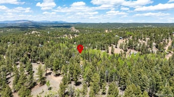 44 Silver Trl, Florissant, CO 80816