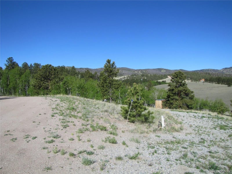 944 Brahma Cir, Hartsel, CO 80449
