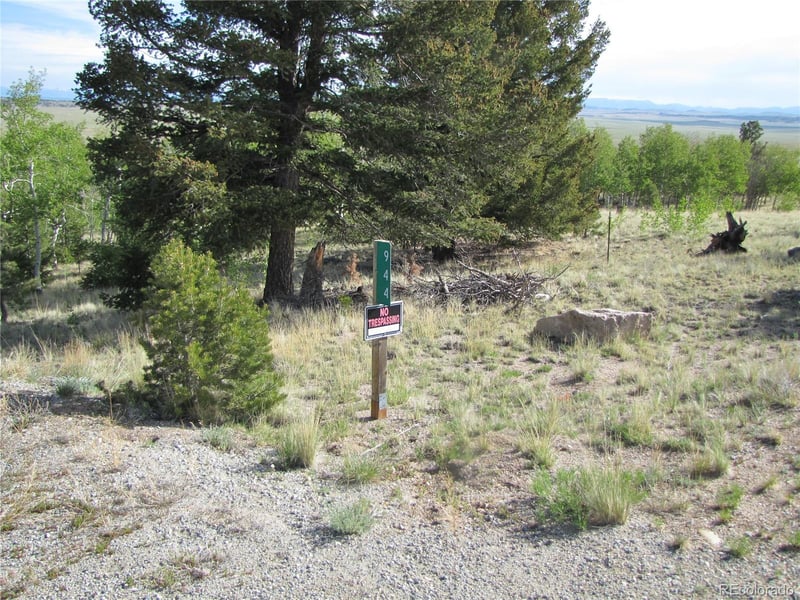 944 Brahma Cir, Hartsel, CO 80449