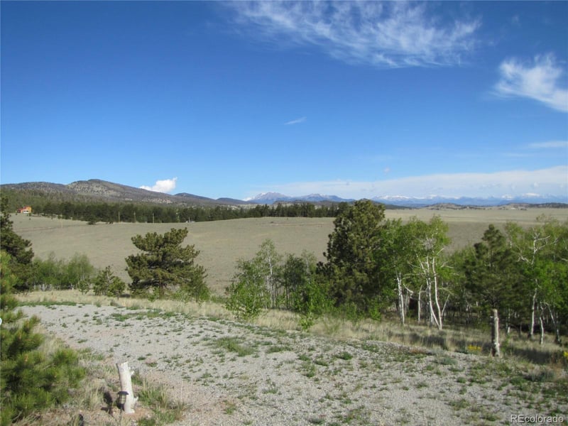 944 Brahma Cir, Hartsel, CO 80449