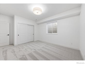 864 Doubleleaf Dr, Windsor, CO 80550