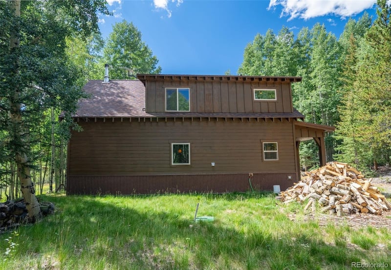 25879 County Road 162e, Nathrop, CO 81236