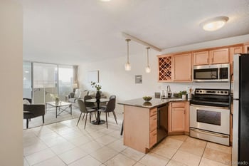 909 N Logan St #9E, Denver, CO 80203