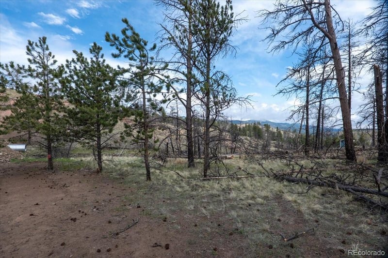 144 Chapparal Trl, Florissant, CO 80816