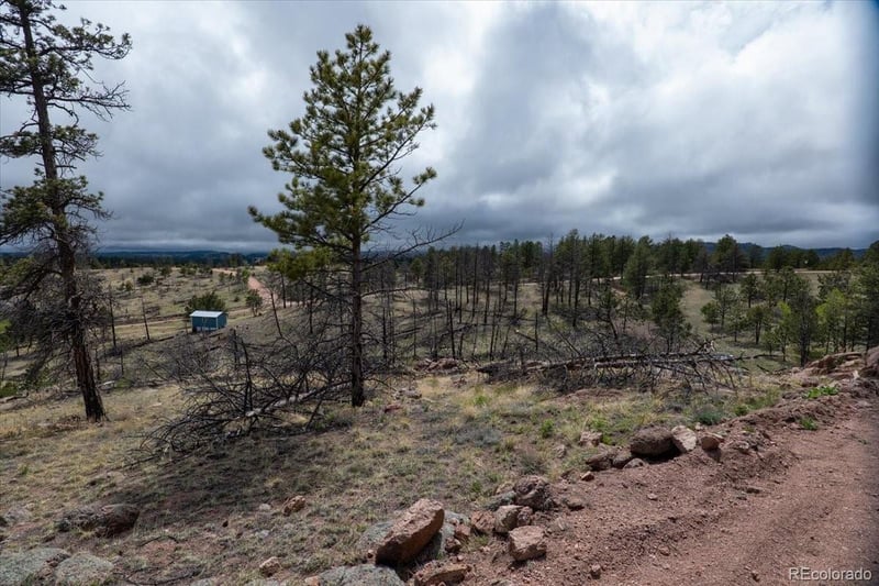 144 Chapparal Trl, Florissant, CO 80816