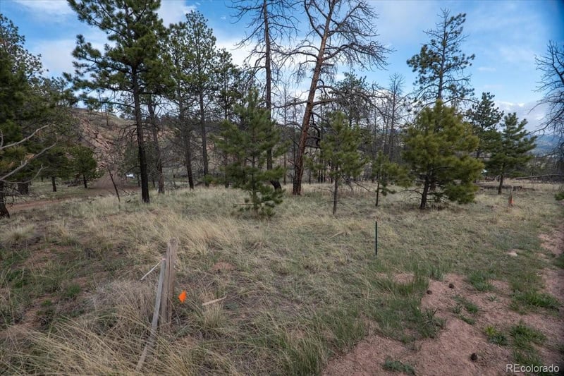 144 Chapparal Trl, Florissant, CO 80816