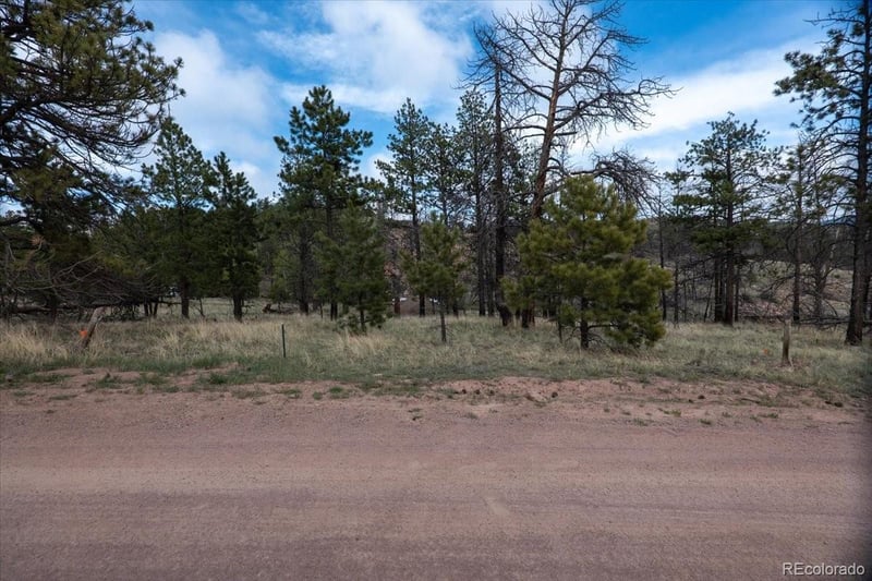 144 Chapparal Trl, Florissant, CO 80816