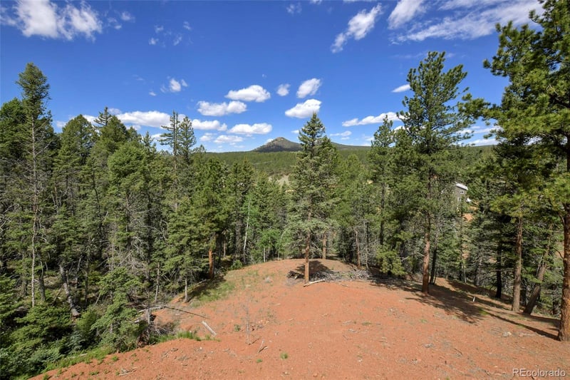 100 Wildcat Creek Dr, Florissant, CO 80816