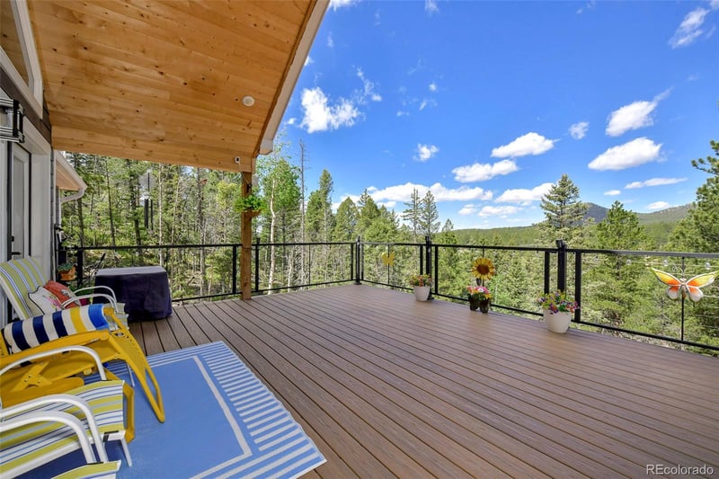 100 Wildcat Creek Dr, Florissant, CO 80816