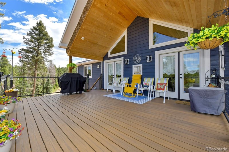 100 Wildcat Creek Dr, Florissant, CO 80816
