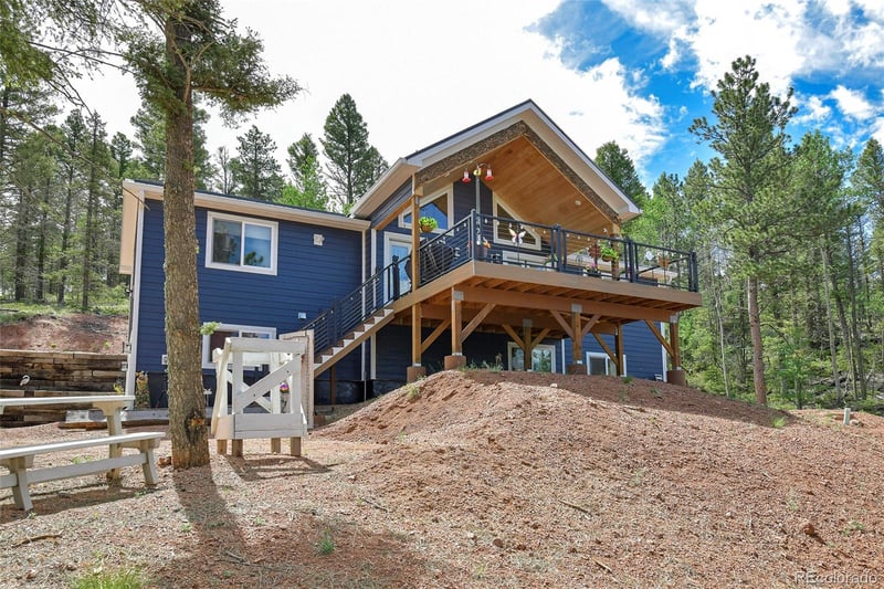 100 Wildcat Creek Dr, Florissant, CO 80816