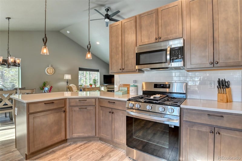 24 Big Horn Cir, Florissant, CO 80816