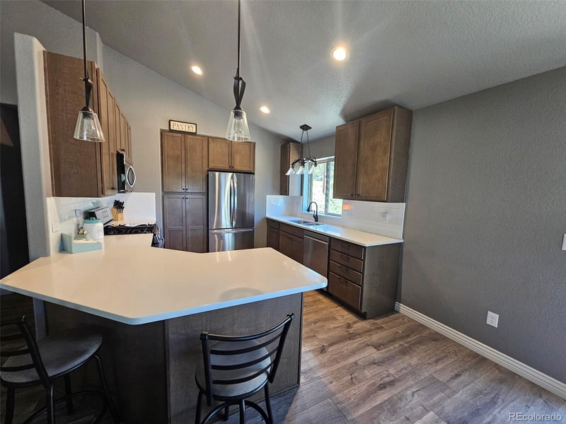 24 Big Horn Cir, Florissant, CO 80816
