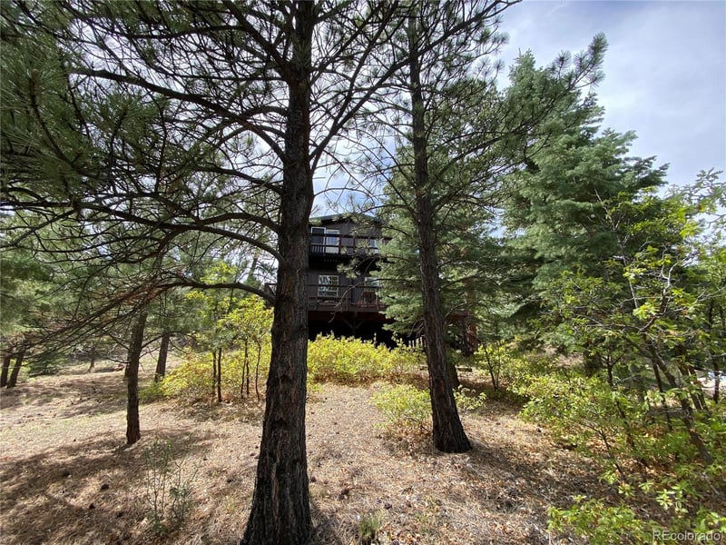 1927 Basin Dr, Cotopaxi, CO 81223