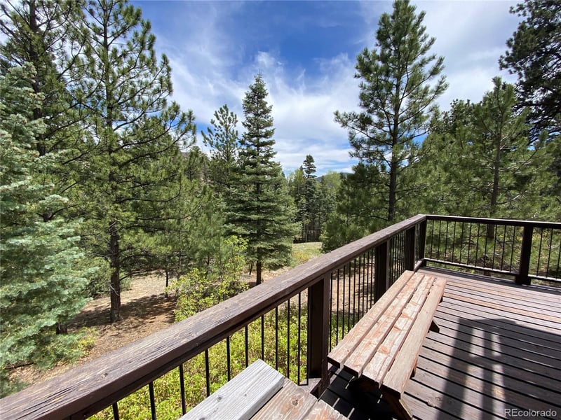 1927 Basin Dr, Cotopaxi, CO 81223