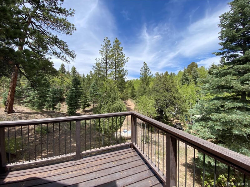1927 Basin Dr, Cotopaxi, CO 81223