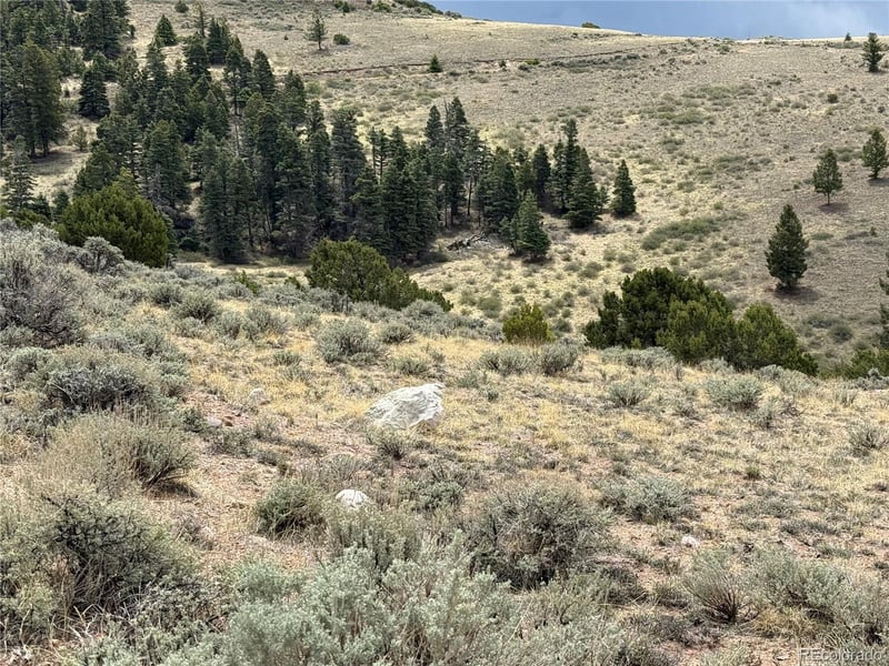 Lot 5428 Balleroy Rd Lot 5428, Fort Garland, CO 81133