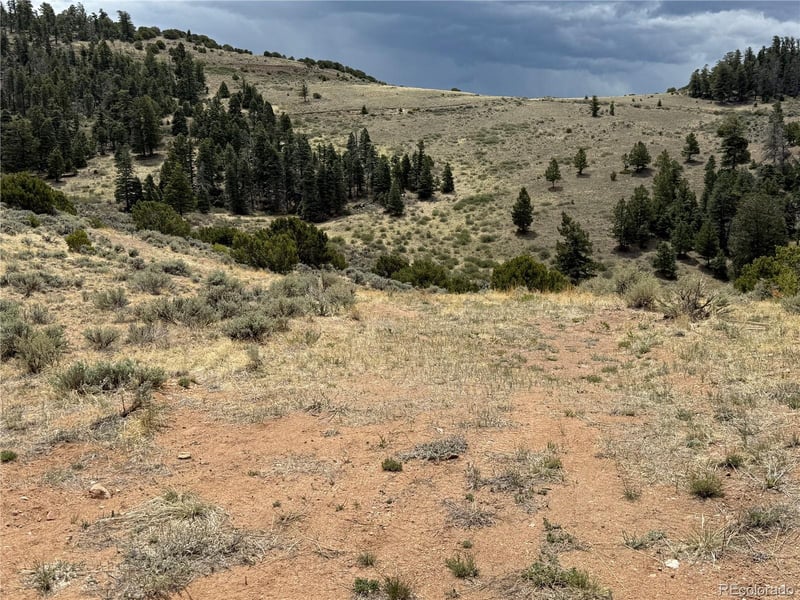 Lot 5428 Balleroy Rd Lot 5428, Fort Garland, CO 81133