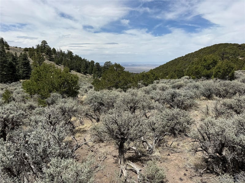 Lot 5428 Balleroy Rd Lot 5428, Fort Garland, CO 81133