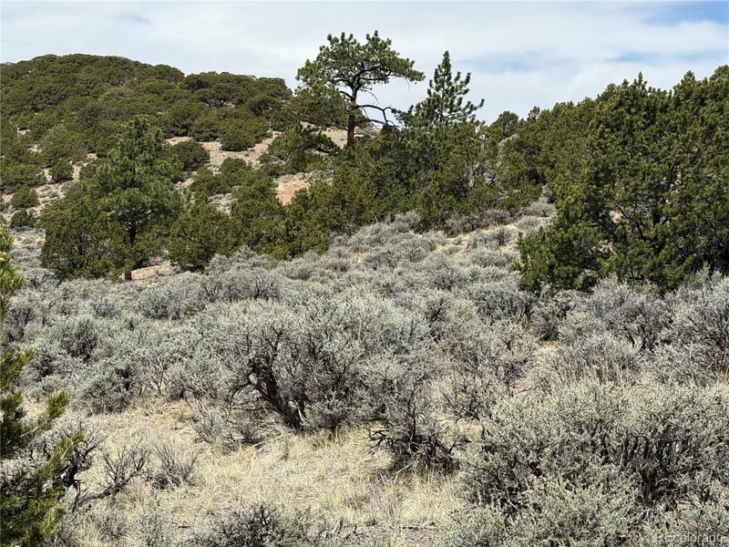 Lot 5428 Balleroy Rd Lot 5428, Fort Garland, CO 81133