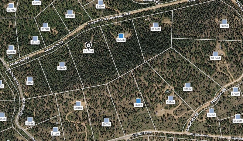 200 Desparado Rd, Bailey, CO 80421