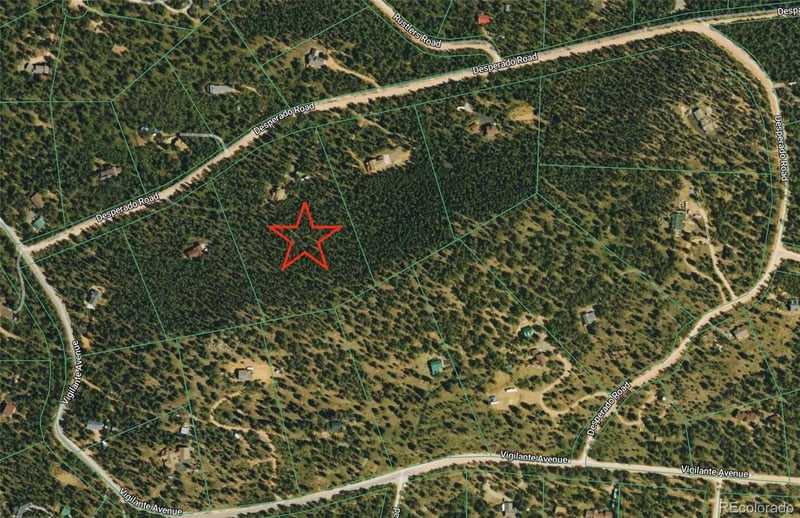 200 Desparado Rd, Bailey, CO 80421