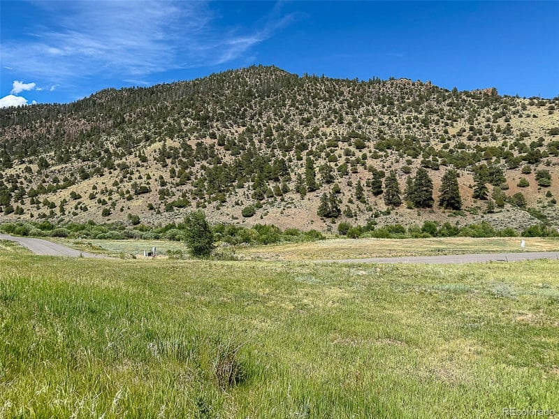 61 Alder Creek Ln, South Fork, CO 81154