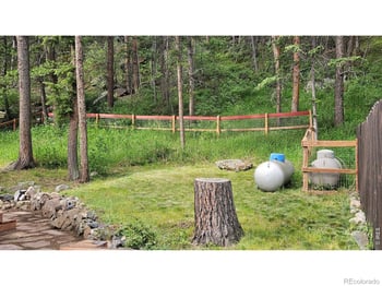 42 Big Pine Ln, Drake, CO 80515