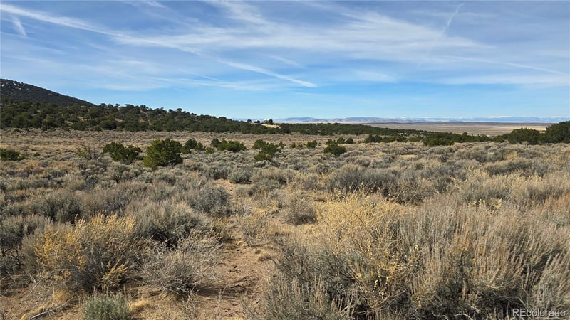 Lot 1075 Sylvia Rd, Fort Garland, CO 81133