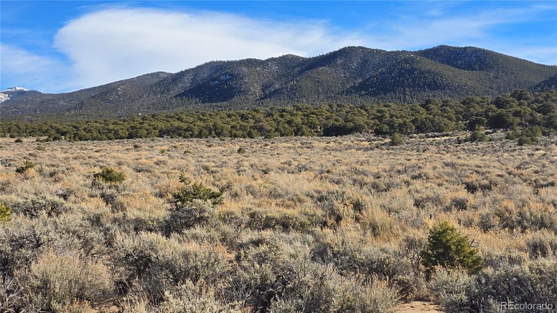 Lot 1075 Sylvia Rd, Fort Garland, CO 81133