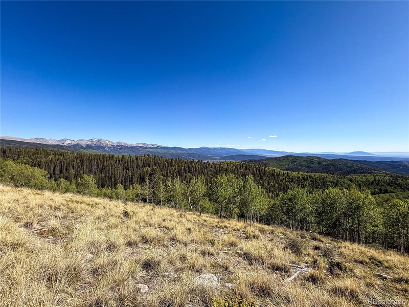 LOT 6829 Ryland Rd, Fort Garland, CO 81133