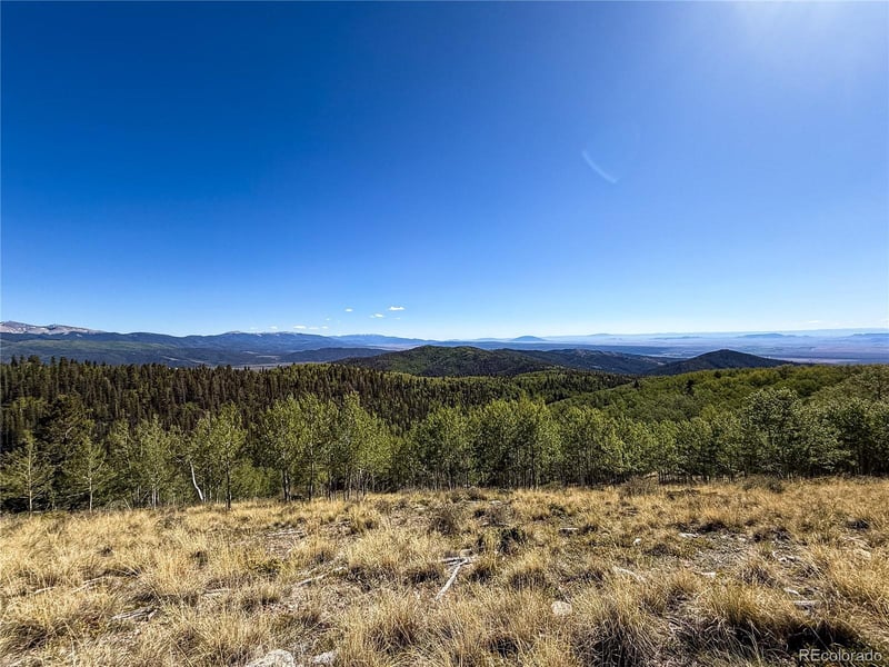 LOT 6829 Ryland Rd, Fort Garland, CO 81133