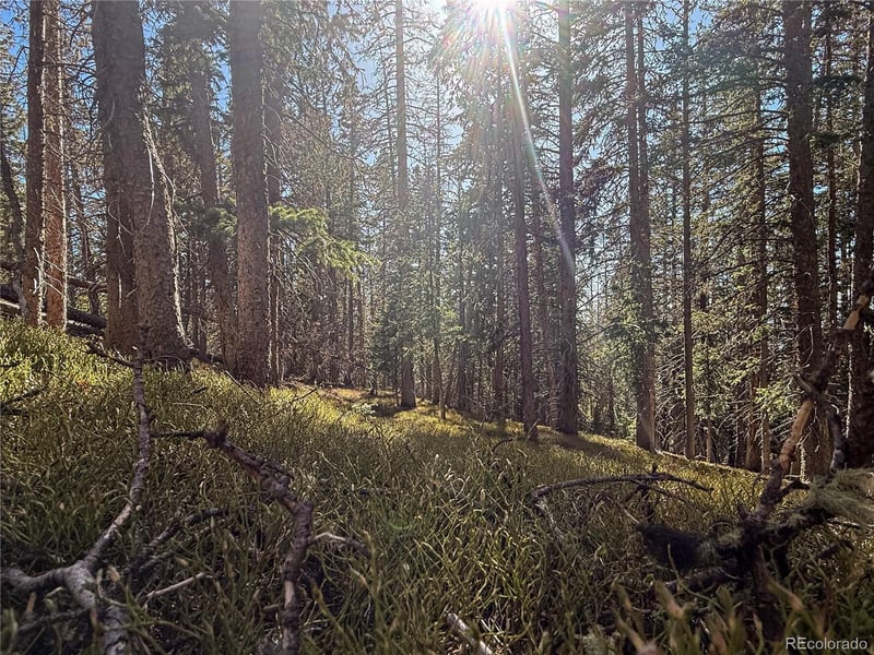 LOT 6530 Schluetter Rd, Fort Garland, CO 81133