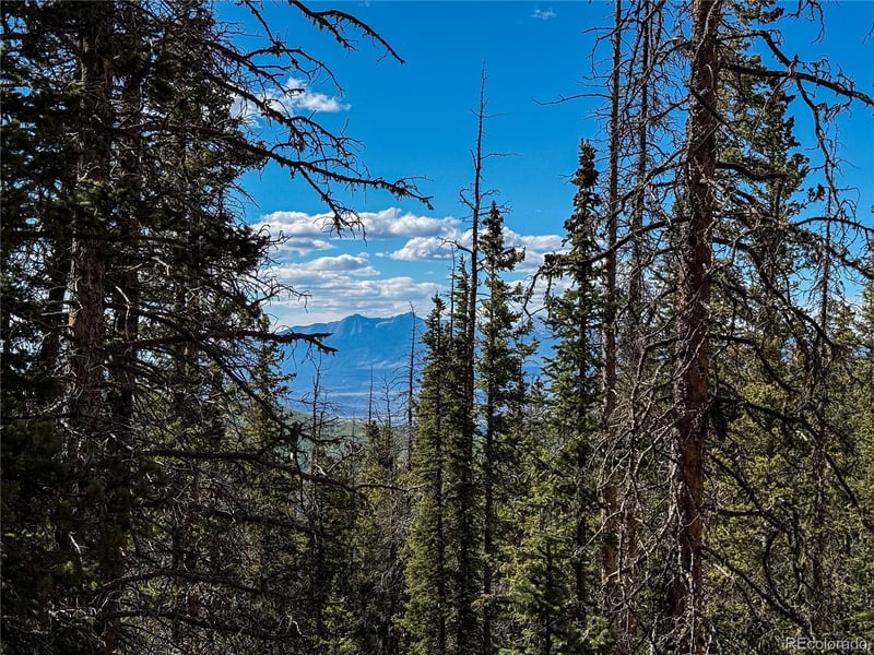 LOT 6530 Schluetter Rd, Fort Garland, CO 81133