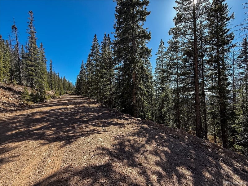 LOT 6530 Schluetter Rd, Fort Garland, CO 81133