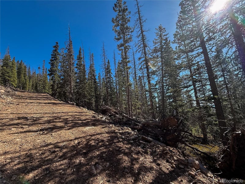 LOT 6530 Schluetter Rd, Fort Garland, CO 81133
