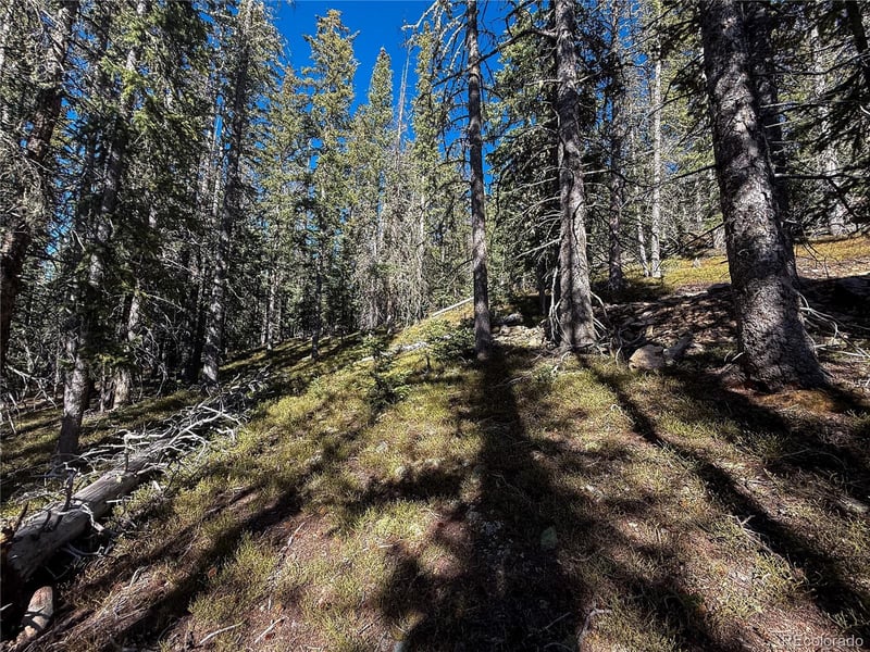 LOT 6530 Schluetter Rd, Fort Garland, CO 81133