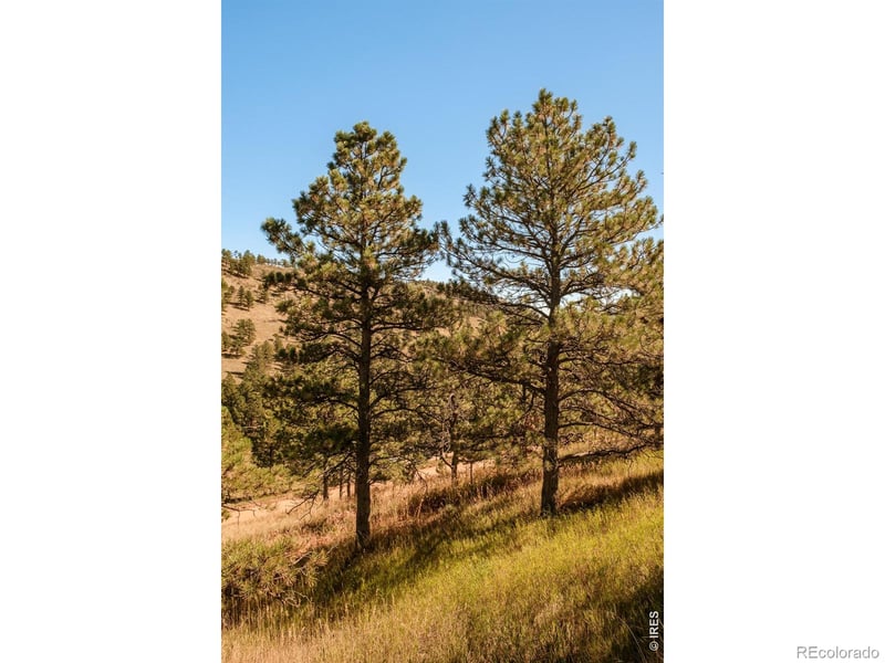 6365 Red Hill Rd, Boulder, CO 80302