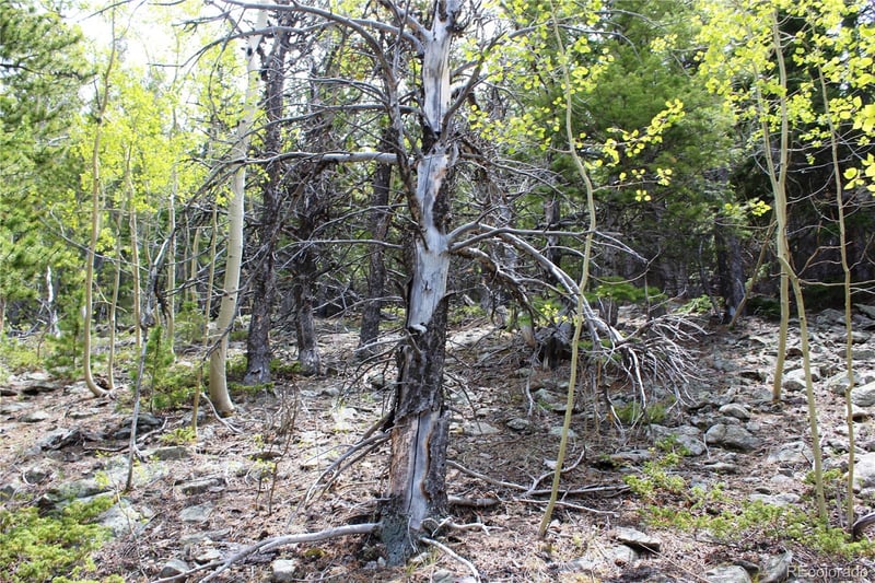 16564A Pennsylvania Lot 16564A, Idaho Springs, CO 80461