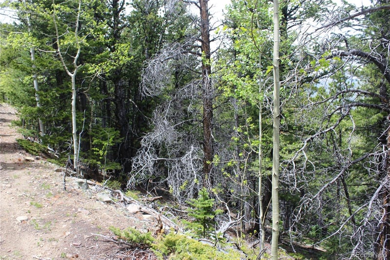 16564A Pennsylvania Lot 16564A, Idaho Springs, CO 80461