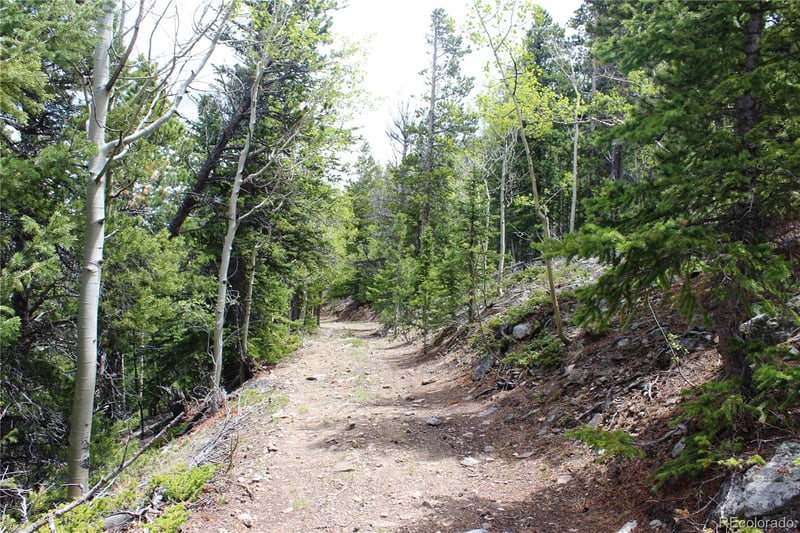 16564A Pennsylvania Lot 16564A, Idaho Springs, CO 80461
