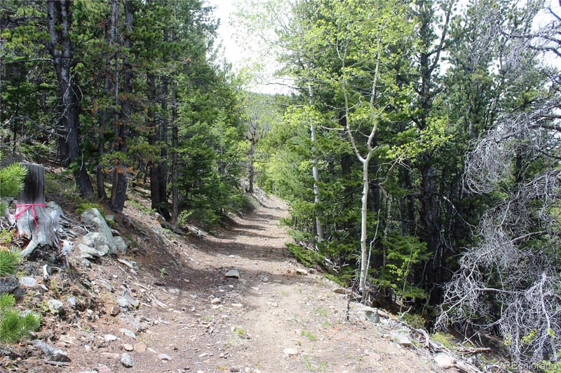16564A Pennsylvania Lot 16564A, Idaho Springs, CO 80461